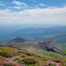 기리시마산(霧島山/Mt.Kirishima) 철쭉 이미지