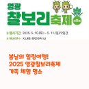 봄날의 힐링여행! 2025 영광찰보리축제 가족 체험 명소