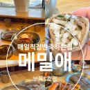 메밀애1호보목점 | 보목동맛집 메밀애 1호보목점 매일 직접 반죽하는 건강한 메밀 맛 서귀포냉면 제주 메밀 맛집