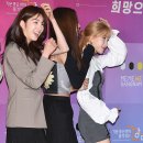 솔빈 카카오 검색결과