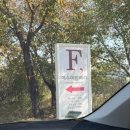 거창읍-12 | [이수미 팜베리] 거창 산속 유럽 감성 정원카페✨ 치즈돈까스 맛집 후기