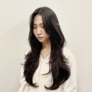 꼼나나비앙 한남점