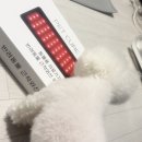 닥터.큐 | 병원에서도 쓰는 슬개골·관절 홈케어기기,펫큐어레이 커버큐 솔직 후기