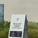 밤톨이상회 | 여름 신생아 옷준비 몇개? 유니클로 메쉬바디수트 반팔 나시 60 사이즈