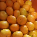 제주남원농협사업소 이미지