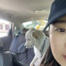 새까마쿤 네이버블로그