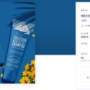 디자인 소금