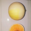 멜론 이미지