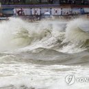 고니고니 이미지