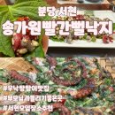 송가원빨간뻘낙지 이미지