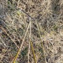 형도농장 이미지