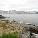 몰운대꼼장어 이미지