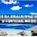 자유 티스토리