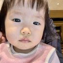 이쁨더하기 - 마포구 포은로 143-1 | 아쉬웠던 서초 강남 서라벌한정식 소규모 9인 가족 돌잔치 솔직 후기 (+돌풍선, 돌잔치 영상, 토퍼)
