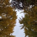 대화이용소 이미지