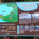 [함평 가볼만한곳]함평 돌머리해수욕장 핑크뮬리를 찾아서~팬플룻연주/조우상/팬타곤 이미지