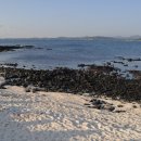 제주 우도 홍조단괴 해빈 이미지