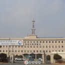 입장거봉포도(서울) 이미지