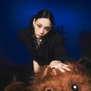 비디오천국 이미지