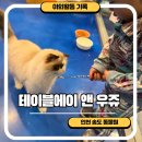 에이 앤 비(A&B) | 테이블에이 앤 우쥬 인천 실내동물원 추천 아이랑 가볼만한곳