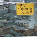 한군정육점