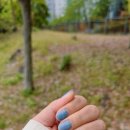 네일바다/닥터풋클린