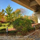 어정동물병원 이미지