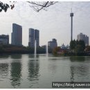 유원부동산중개사무소 이미지