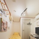 스테이나무 이미지