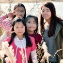 원통초등학교 이미지