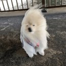 2주째어쩌구4월제목모르겟ㄷ
