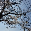 마장 | [경기 파주] 단체모임 고기 문산 맛집 마장돈백갈비 방문 후기