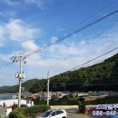 하포횟집