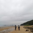 사옥도 이미지