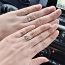 솔리테리 | WeD #4 | 대전 예물샵 웨딩밴드 후기 [시크릿스톤]