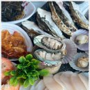 싱싱회타운 이미지