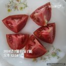 신양면 주민자치센터 체력단련실 | 일상 공유 8주차 매일운동 2시간 식단 추천 주민센터 헬스 시작 주민센터 프로그램 신청방법, 이용 후기