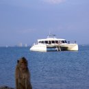 키아오라 이미지