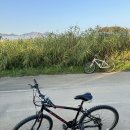 이천데이트 자전거대여 꿈꾸는자전거세상 신둔천 위치 및 가격, 후기