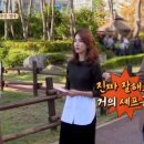 쉐프의 한끼요리 이미지