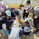 고성군 11 이미지