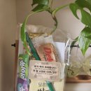 더힘찬태권도 이미지