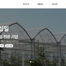 비전이십일