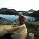 해송 농장 이미지