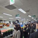 디자인꽃피다 이미지