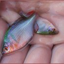 덕천강쉼터 이미지