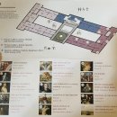 호프필그리스 | [혼자유럽여행/오스트리아/비엔나] Day 18, 부다페스트에서 비엔나/ 비엔나 국립 미술사 박물관