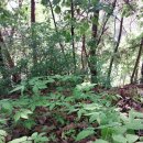 하루네 농장 이미지