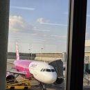 피치왕 | 피치못해서 탄다는 피치항공 나고야 후기