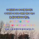 바라봄 이미지